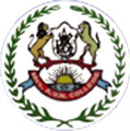 Mrs A V N College_logo