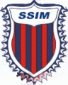 Shree Satya Institute of Management_logo