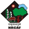 National Research Centre for Agroforestry_logo