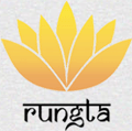 G D Rungta College of Engineering and Technology_logo