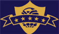Merit International Institute of Technology_logo