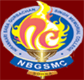 Nirankari Baba Gurbachan Singh Memorial College_logo