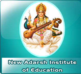 New Adarsh Institute of Education_logo