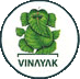 Vinayak Vidyapeeth_logo