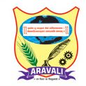 Aravali Institute Of Management_logo