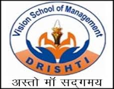 Vision School Of Management_logo