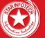 Star Infotech College_logo