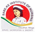 Babe Ke Institute of Nursing_logo