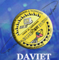 DAV Institute of Engineering and Technology_logo