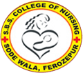 Shaheed Bhagat Singh College of Nursing_logo