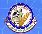 College of Agricultural Engineering_logo