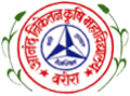 Anand Niketan College of Agriculture_logo