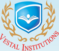 Vestal Institute of Management and Information Technology_logo