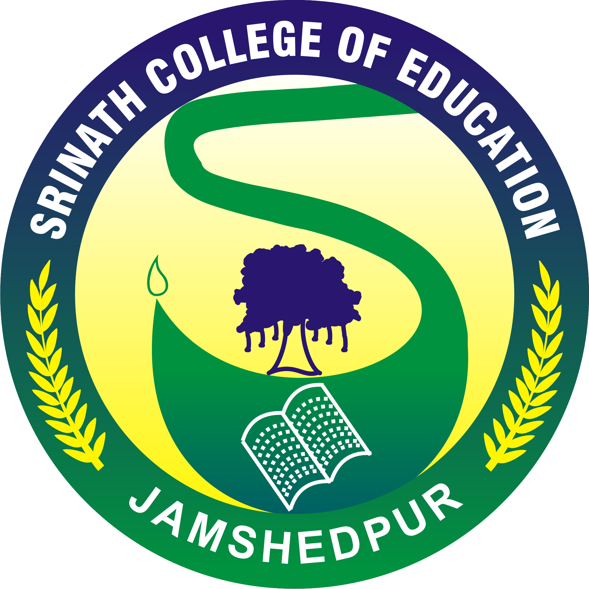 Shrinath College of Education_logo