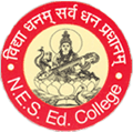 NES Education College_logo