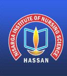 Nisarga Institute of Nursing Science_logo