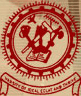 Visveswaraya Institute of Engineering Technology_logo