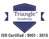 Triangle Academy-logo