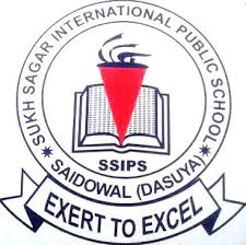 Sukh Sagar International Public School-logo