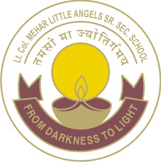 Lt Col Mehar Little Angels Sr Sec School-logo