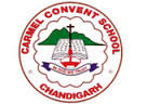 Carmel Convent School-logo