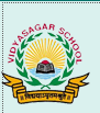 VINAYAK PUBLIC SCHOOL-logo