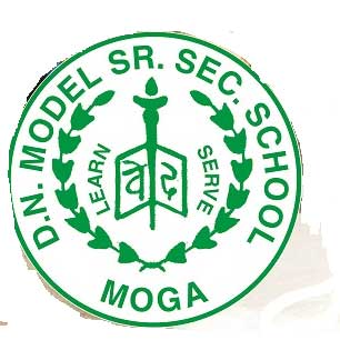 D N Model Sr Sec School-logo
