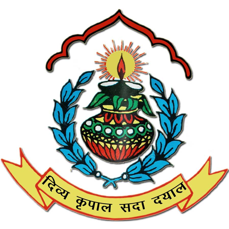 D.V.M. Public School-logo