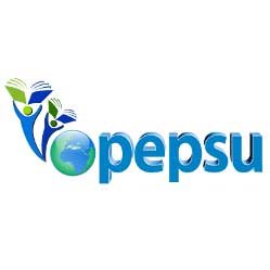Pepsu International Public School-logo