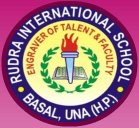 Rudra International School-logo