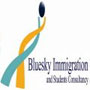 Bluesky Consultancy_logo