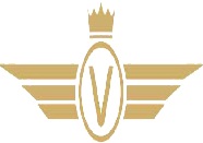 Veteran Immigration Consultants Private Limited_logo