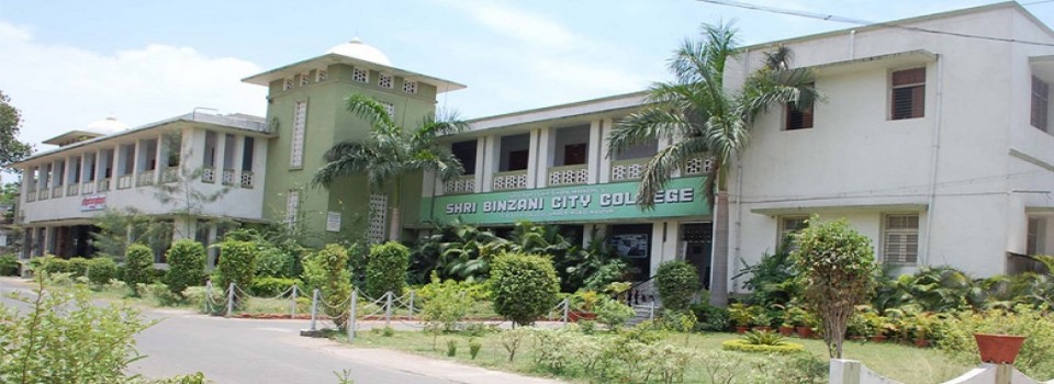 Shri Binzani City College_cover