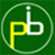 Panacea Bharti Institute_logo