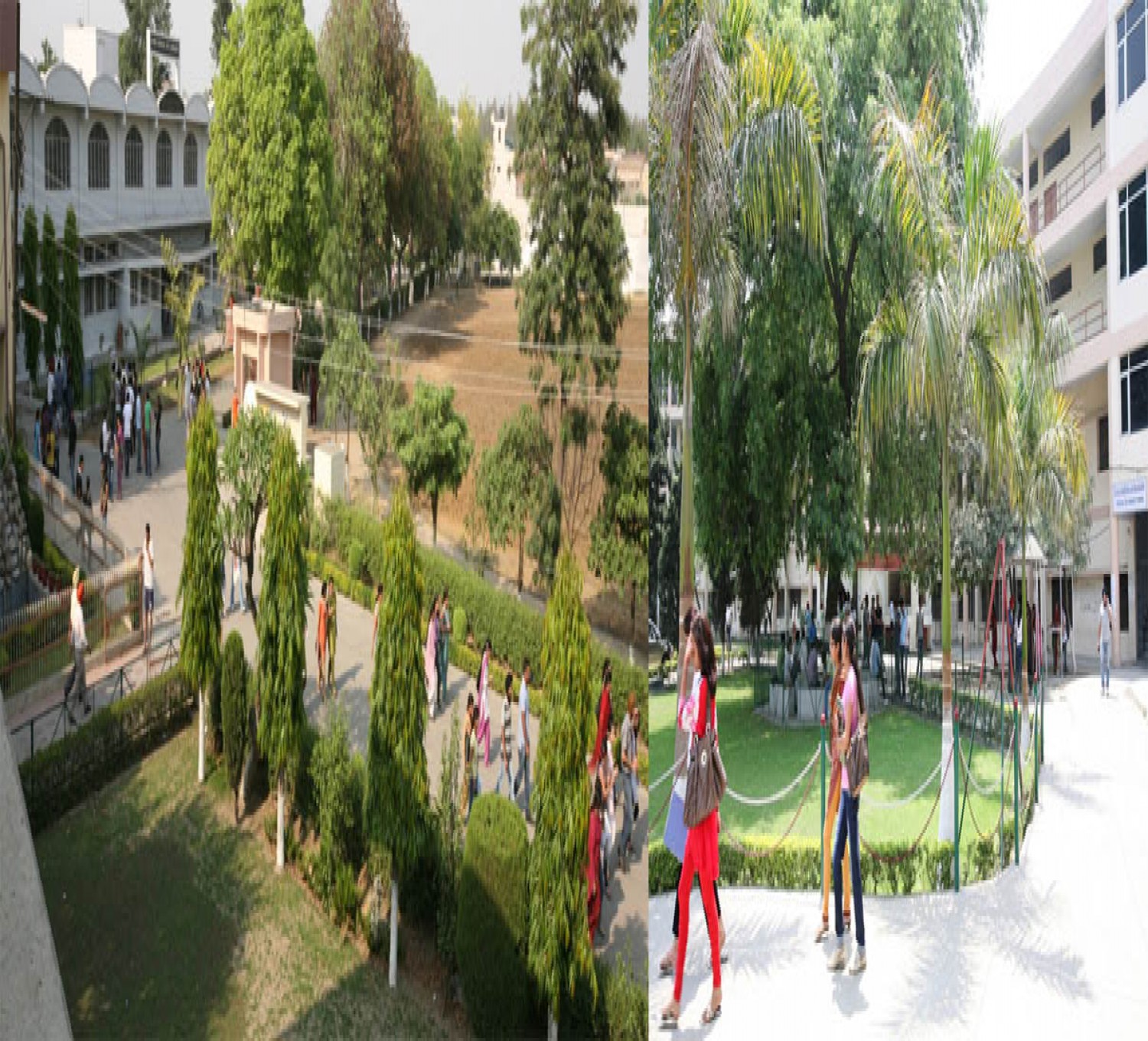 Lyallpur Khalsa College-cover