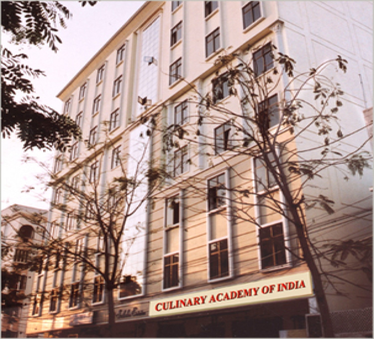 Culinary Academy of India-cover