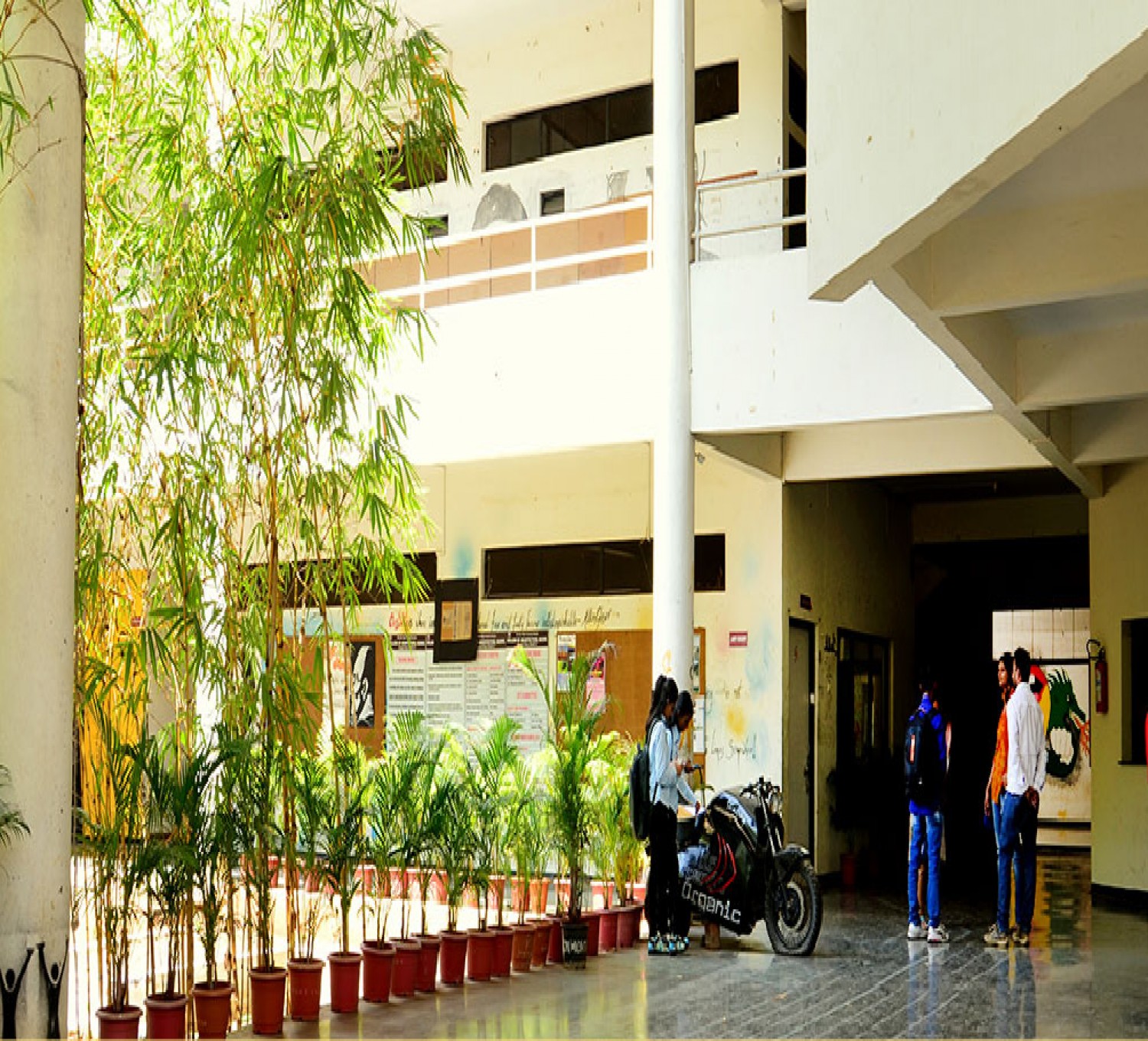 MVP Samaj's College of Architecture and Centre for Design-cover