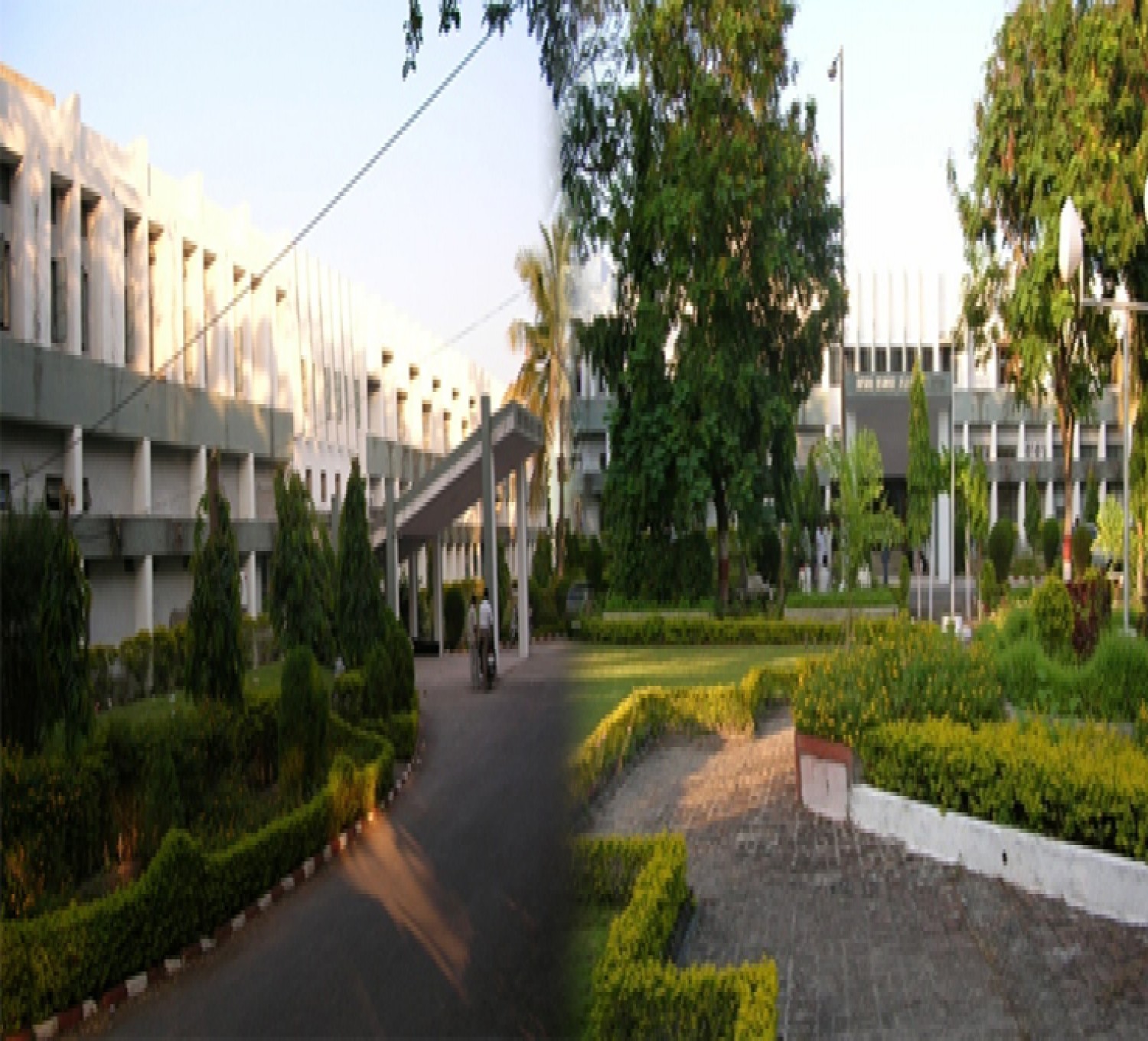 Late Shri Bapuraoji Deshmukh Degree College of Architecture-cover