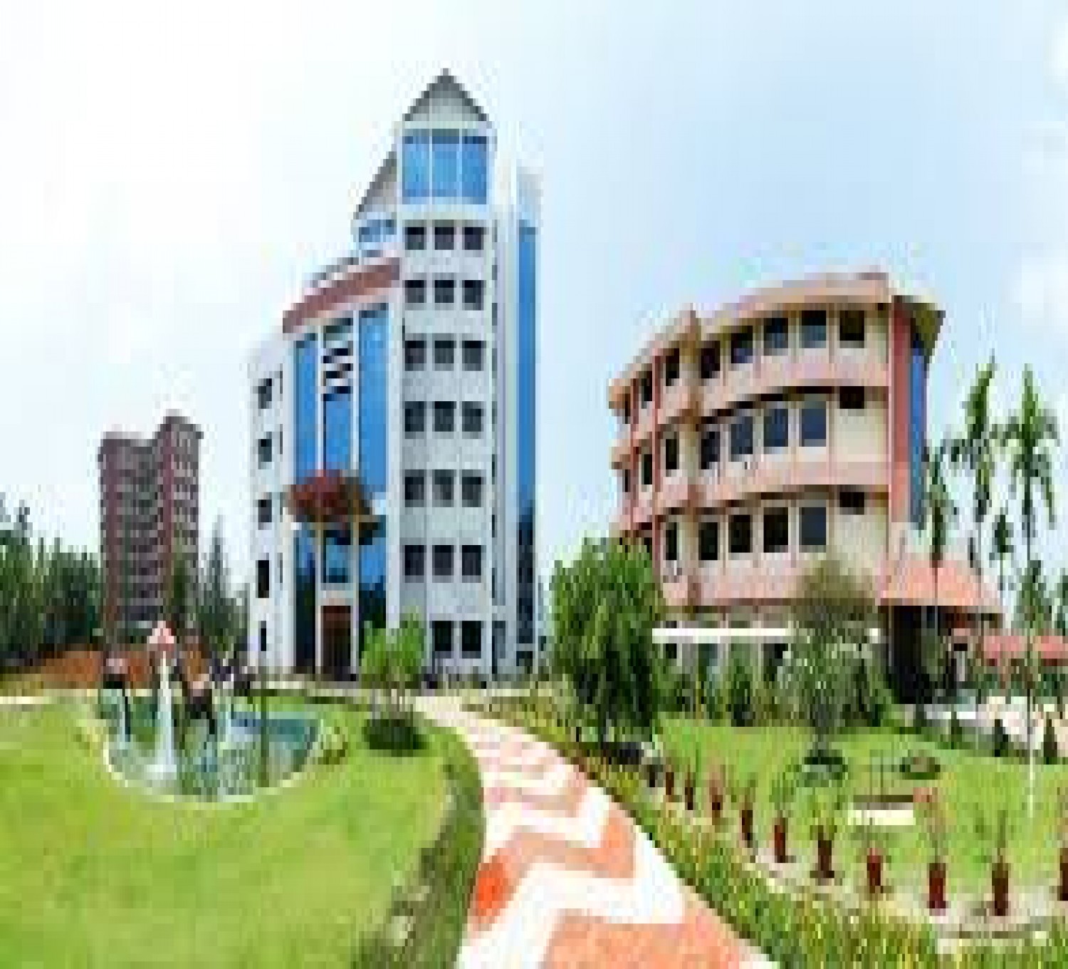 Rajagiri College of Social Sciences-cover