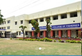 College Of Fisheries_cover