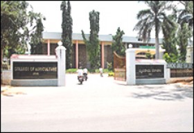 College of Agriculture_cover