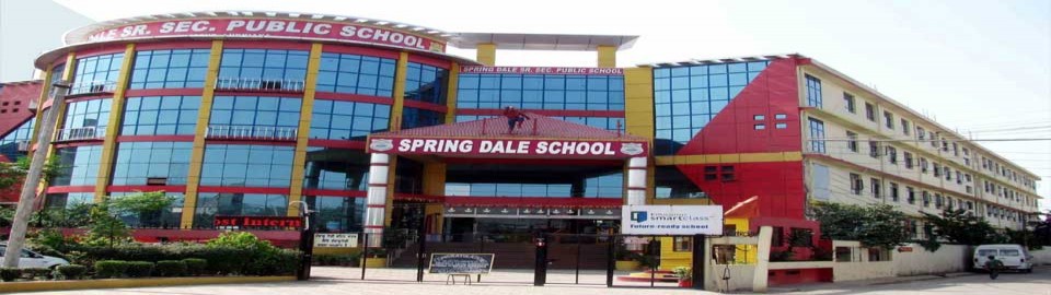 Spring Dales Public School_cover