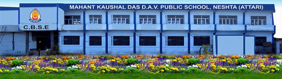Mkd Dav Public School_cover