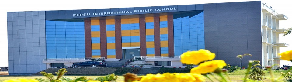 Pepsu International Public School_cover
