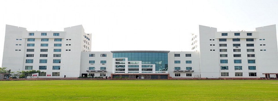 International School of Business and Media_cover