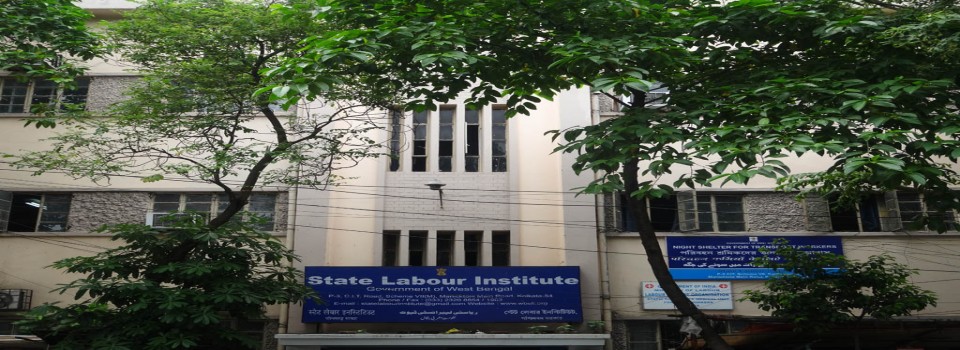 State Labour Institute_cover
