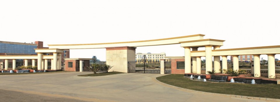 Rawal Institute of Management_cover