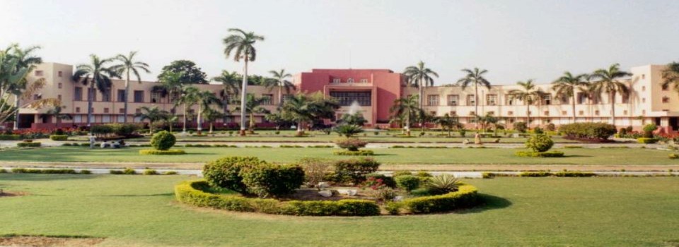 BA College of Agriculture_cover