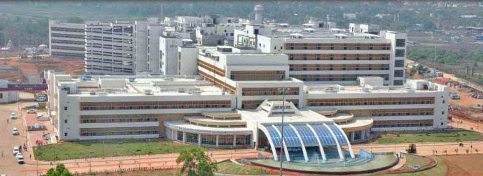 All India Institute of Medical Sciences - AIIMS Bhubaneswar_cover