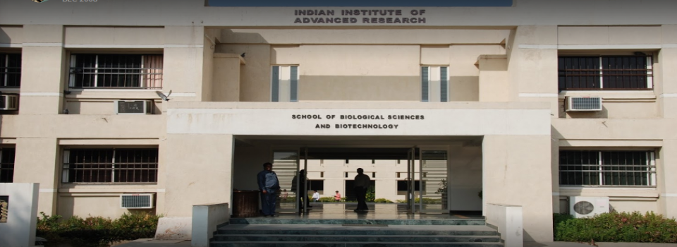 Indian Institute of Advanced Research_cover